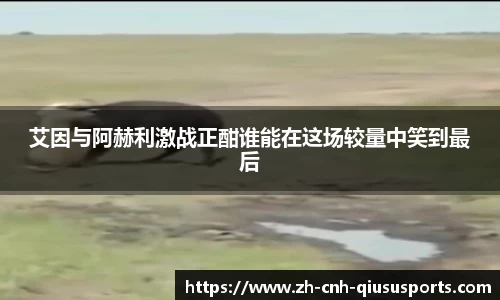 艾因与阿赫利激战正酣谁能在这场较量中笑到最后